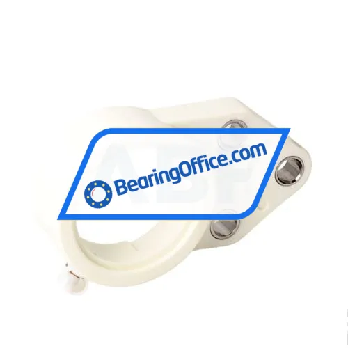 FSY FBPL205  (China) bearing image 3