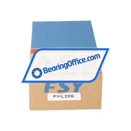 FSY PPL206  (China) bearing image 3