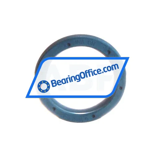 INA G18X24X3-C bearing image 2