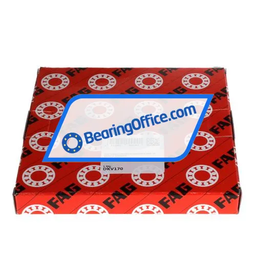 FAG DKV170 bearing image 2