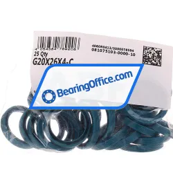 INA G20X26X4-C rulman resim 2