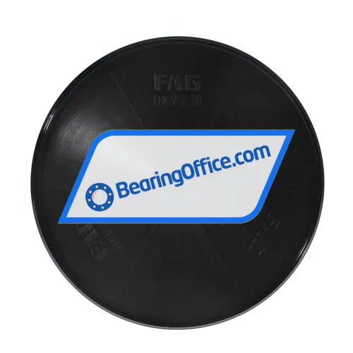 FAG DKV230