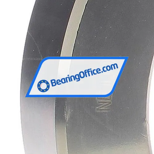 INA SRG-NE100-FA125 bearing image 3