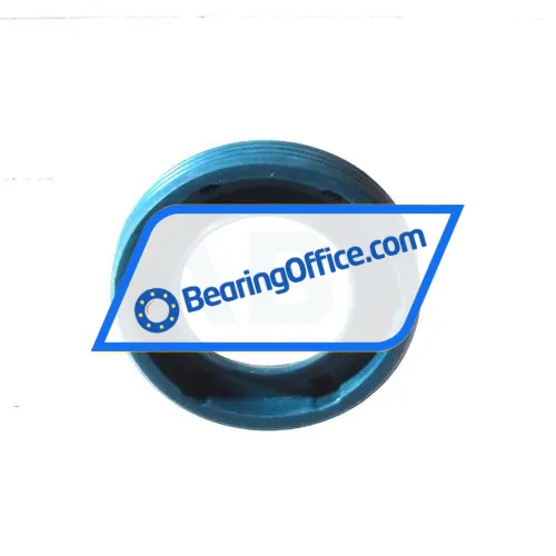 INA G10X17X3-C bearing image 2