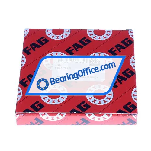 FAG DKV110 bearing image 2