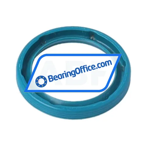 INA G18X24X3 bearing image 2