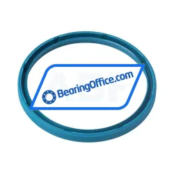 INA G55X63X5-B rulman resim 2