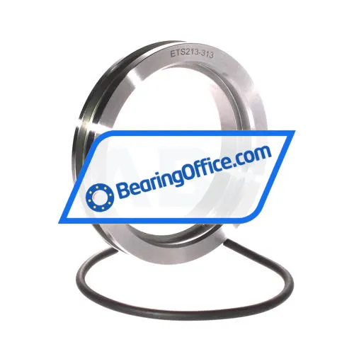FAG ETS213-313
