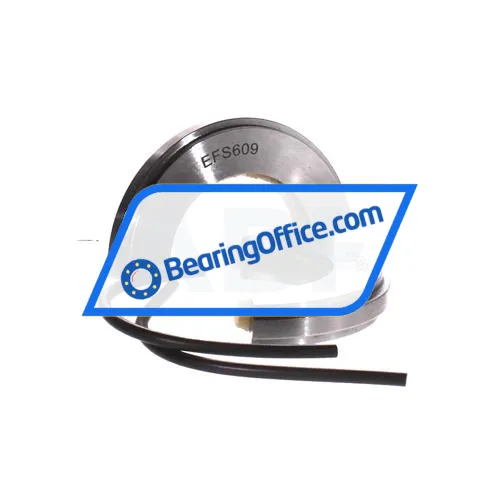 FAG EFS609