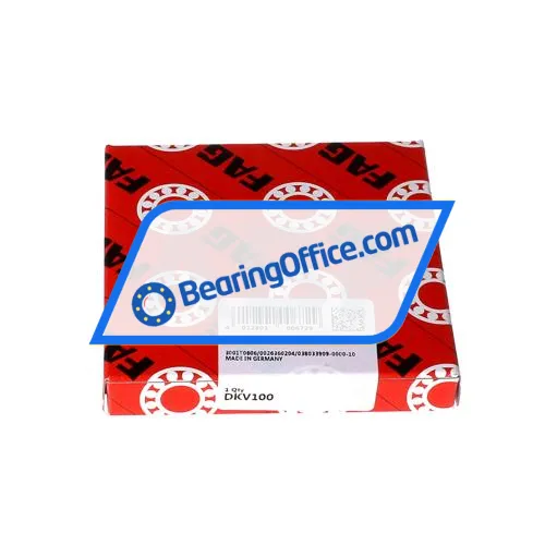 FAG DKV100