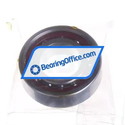 FAG B7003-C-T-P4S-UM