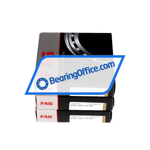 FAG B7011-E-2RSD-T-P4S-TUM