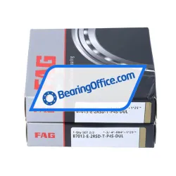 FAG B7013-E-2RSD-T-P4S-DUL