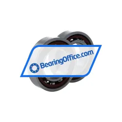 SNFA ED30-7CE1 DUM rulman resim 3