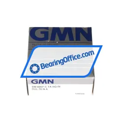 GMN Paul Müller Industrie SM6007C TA HG RI DUL GMN Paul Müller Industrie rulman resim 3