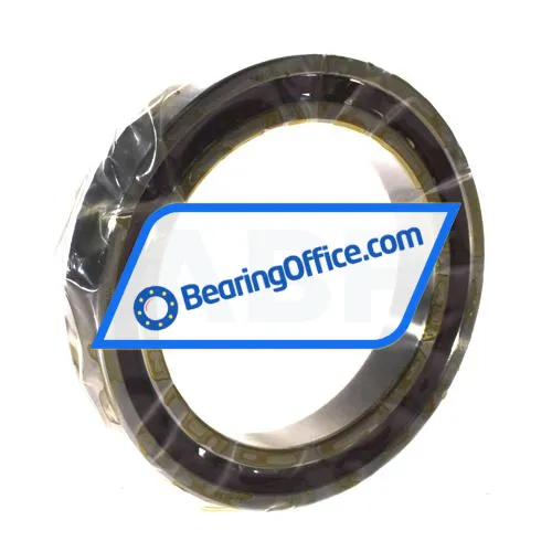 SLF Fraureuth B71917E-T-P4S-UL