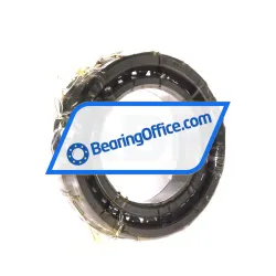 SLF Fraureuth HS7010C-T-P4S-UL rulman resim 2