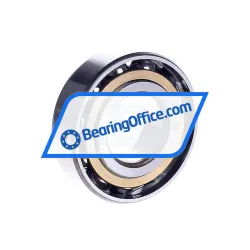 FAG LS10AC rulman resim 2