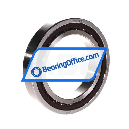 FAG B7017C-TPA-P4-UL