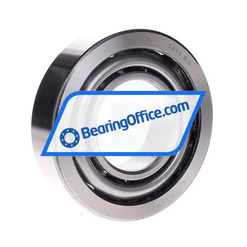 SKF 7313BG