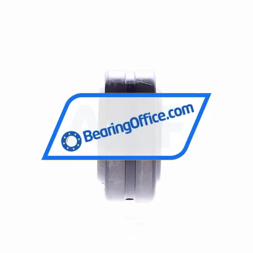 Elges GE25-DO bearing image 3