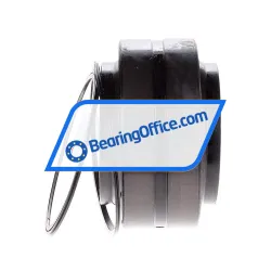 Elges GE60HO-2RS rulman resim 2