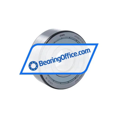 INA LR5306-X-2Z-TVH-XL