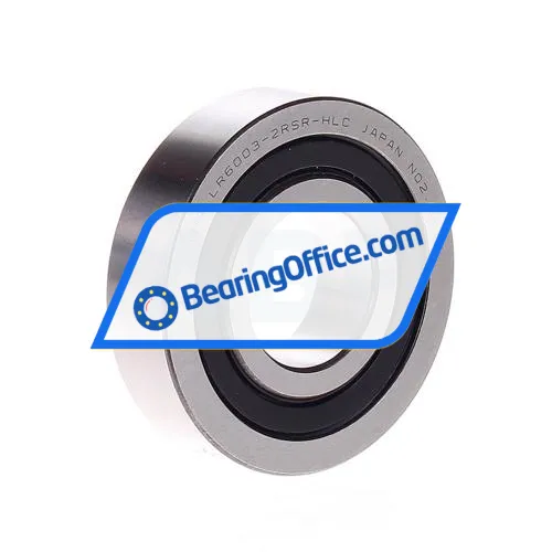 INA LR6003-2RSR-HLC