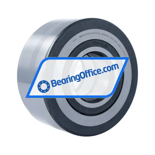 INA NNTR65X160X75-2ZL