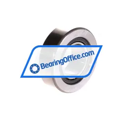 Neutral NAST25 rulman resim 2