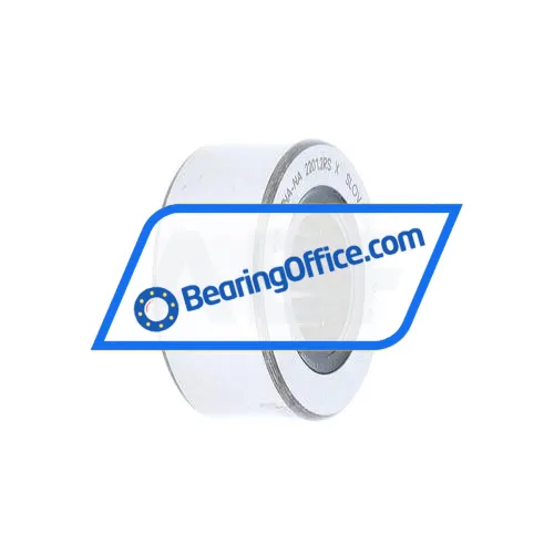 INA RNA2201-X-2RSR-E55EB