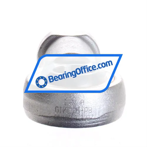 INA GIKL25-PB bearing image 2