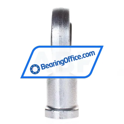 Elges GIR60-DO-2RS bearing image 3