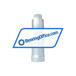 Elges GIKR22-PW rulman resim 3