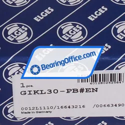 Elges GIKL30-PB rulman resim 4