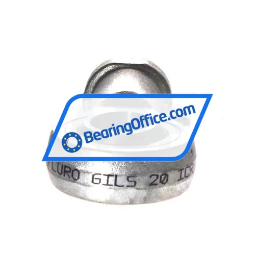 Fluro GILS20ICRSNM6 bearing image 3