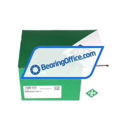 INA EGB4050-E50-Y rulman resim 3