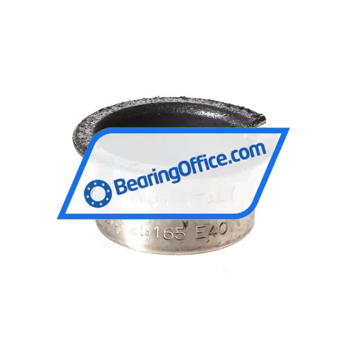 INA EGF25165-E40-Y
