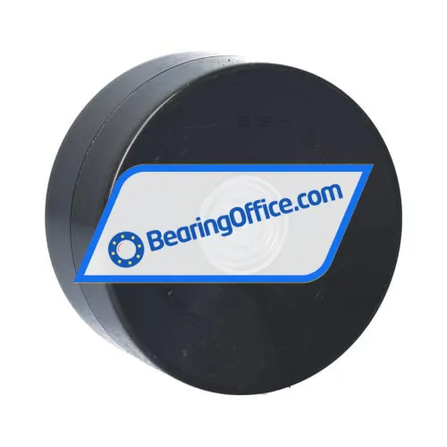 INA BSRI93-C bearing image 2