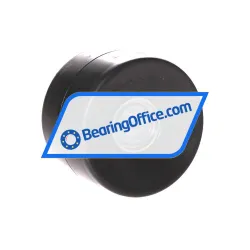 INA BSRI73-C rulman resim 2