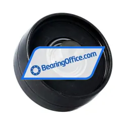 INA BSRI61-C rulman resim 2