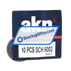 AKN SCH6002 rulman resim 2
