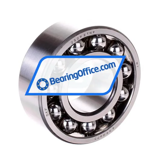 SKF 2309ETN9
