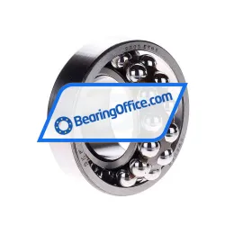 SKF 2209ETN9 rulman resim 2