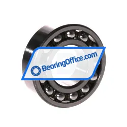 SKF 1205ETN9 rulman resim 2