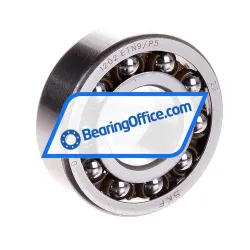 SKF 1202ETN9/P5