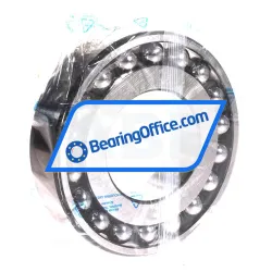 SKF 1313EKTN9 rulman resim 2