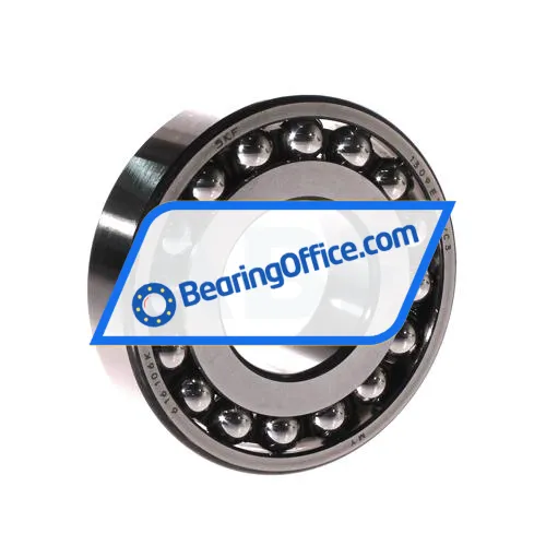 SKF 1309ETN9/C3