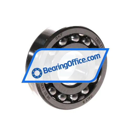 SKF 1305ETN9/C3