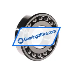 SKF 1309EKTN9/C3 rulman resim 3